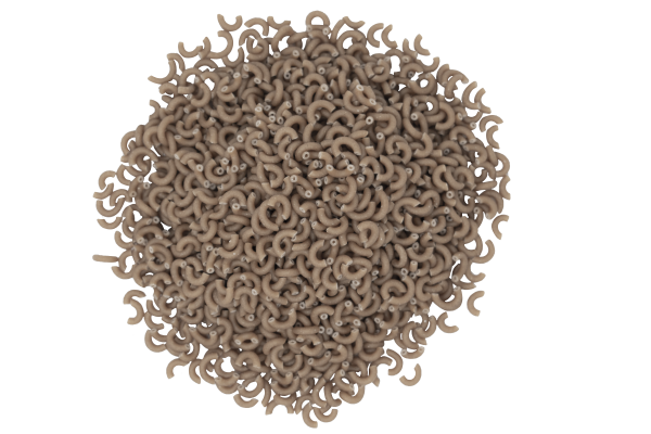 Coquillettes blé complet bio - 1