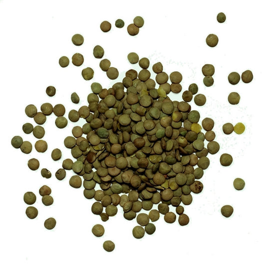 Lentilles vertes bio equitables - 1